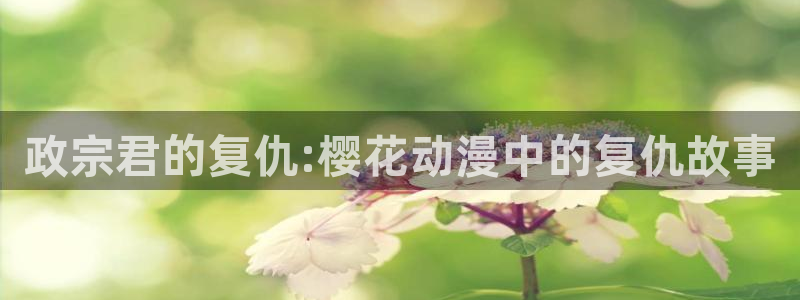 omofun动漫正版：政宗君的复仇:樱花动漫中的复仇故事