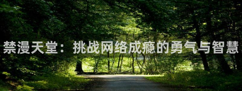 omofun弹幕网：禁漫天堂：挑战网络成瘾的勇气与智慧