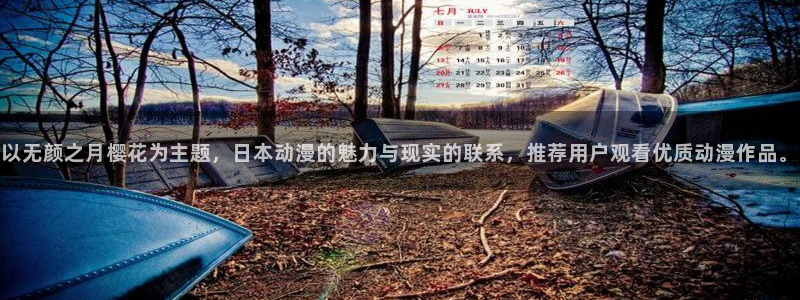 omofun正版官方：以无颜之月樱花为主题，日本动漫的魅力与现实的联系，推荐用户观看优质动漫作品。