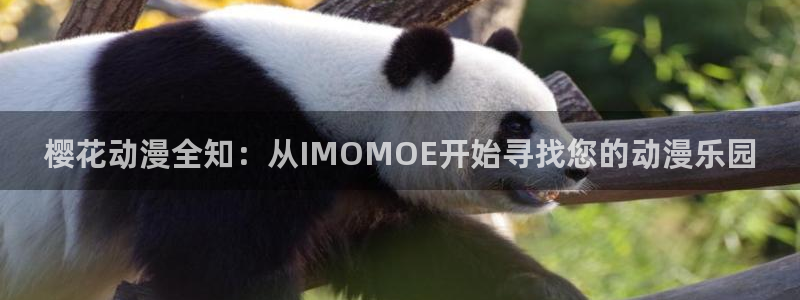 香蕉漫画下载最新版：樱花动漫全知：从IMOMOE开始寻找您的动漫乐园