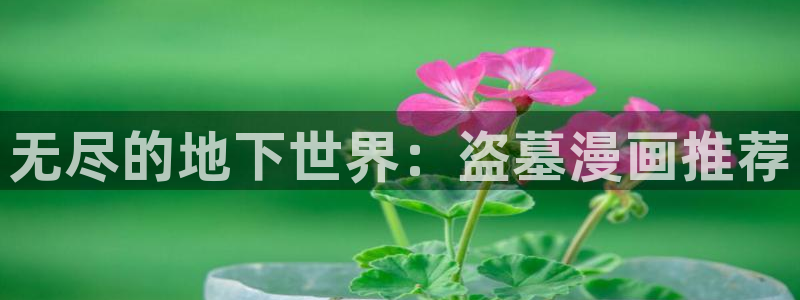 omofun在线观看免费动漫：无尽的地下世界：盗墓漫画推荐