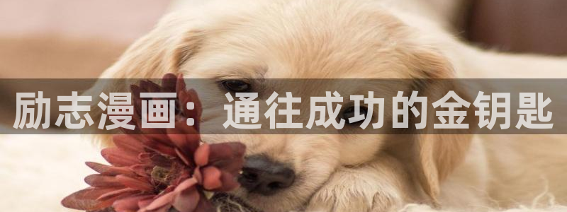 omofun更新：励志漫画：通往成功的金钥匙