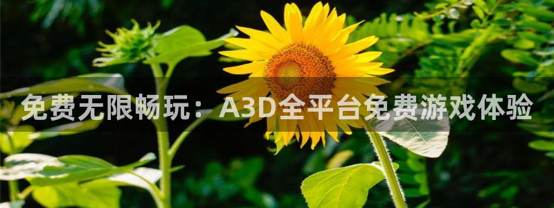 omofun动漫.：免费无限畅玩：A3D全平台免费游戏体验