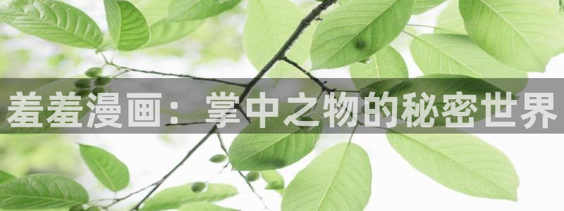 omofun最新下载