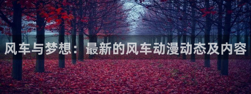 omofun动漫在线观看免费全集：风车与梦想：最新的风车动漫动态及内容