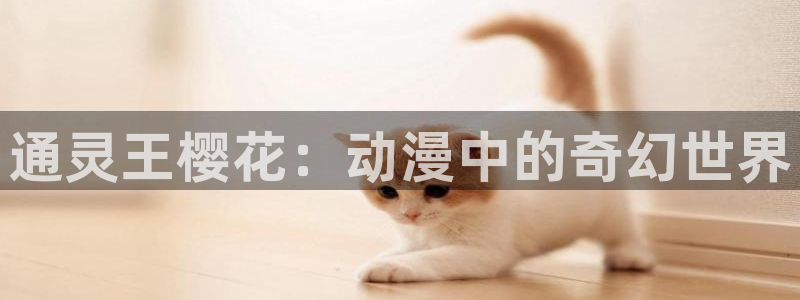 omofun新版本下载：通灵王樱花：动漫中的奇幻世界