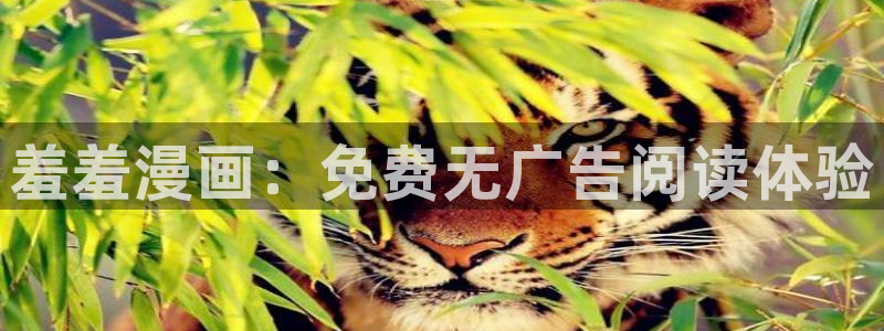 omofun动漫网页版：羞羞漫画：免费无广告阅读体验