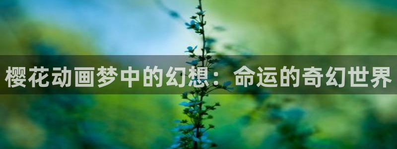 omofun动漫官网在线观看：樱花动画梦中的幻想：命运的奇幻世界