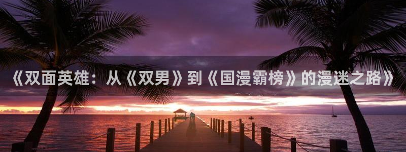 omofun动漫官方首页：《双面英雄：从《双男》到《国漫霸榜》的漫迷之路》