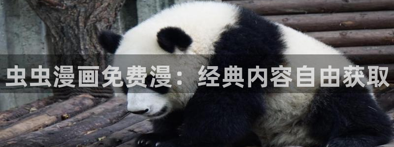 omofun专注动漫官网入口：虫虫漫画免费漫：经典内容自由获取