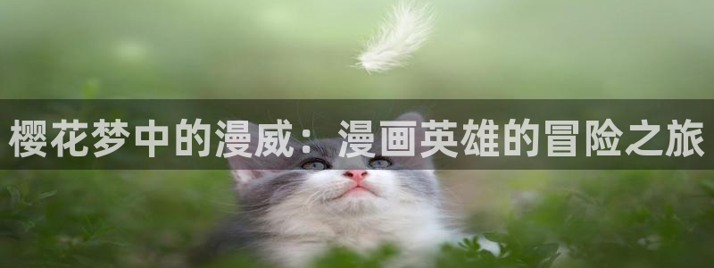 omofun 动漫在线观看：樱花梦中的漫威：漫画英雄的冒险之旅