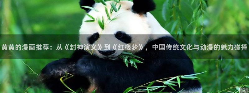 omofun注册：黄黄的漫画推荐：从《封神演义》到《红楼梦》，中国传统文化与动漫的魅力碰撞
